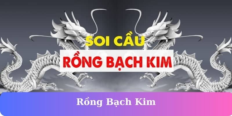 Rồng Bạch Kim – Công Cụ Dự Đoán Lô Đề Tối Ưu Tại F168
