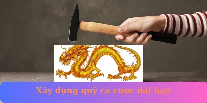 Xây dựng quỹ cá cược dài hạn