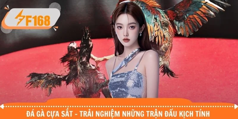 Đá Gà Cựa Sắt - Trải Nghiệm Những Trận Đấu Kịch Tính