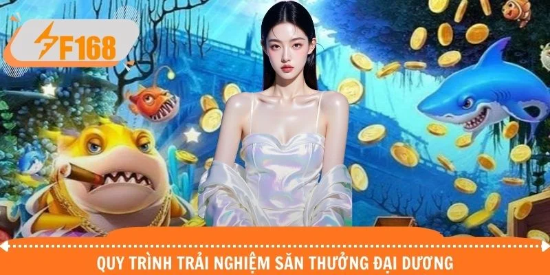 Quy trình trải nghiệm săn thưởng đại dương